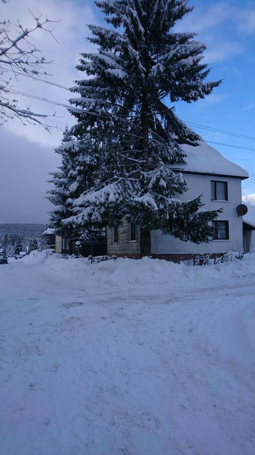 Haus Hasenmueller Apartment Schmiedefeld am Rennsteig Luaran gambar